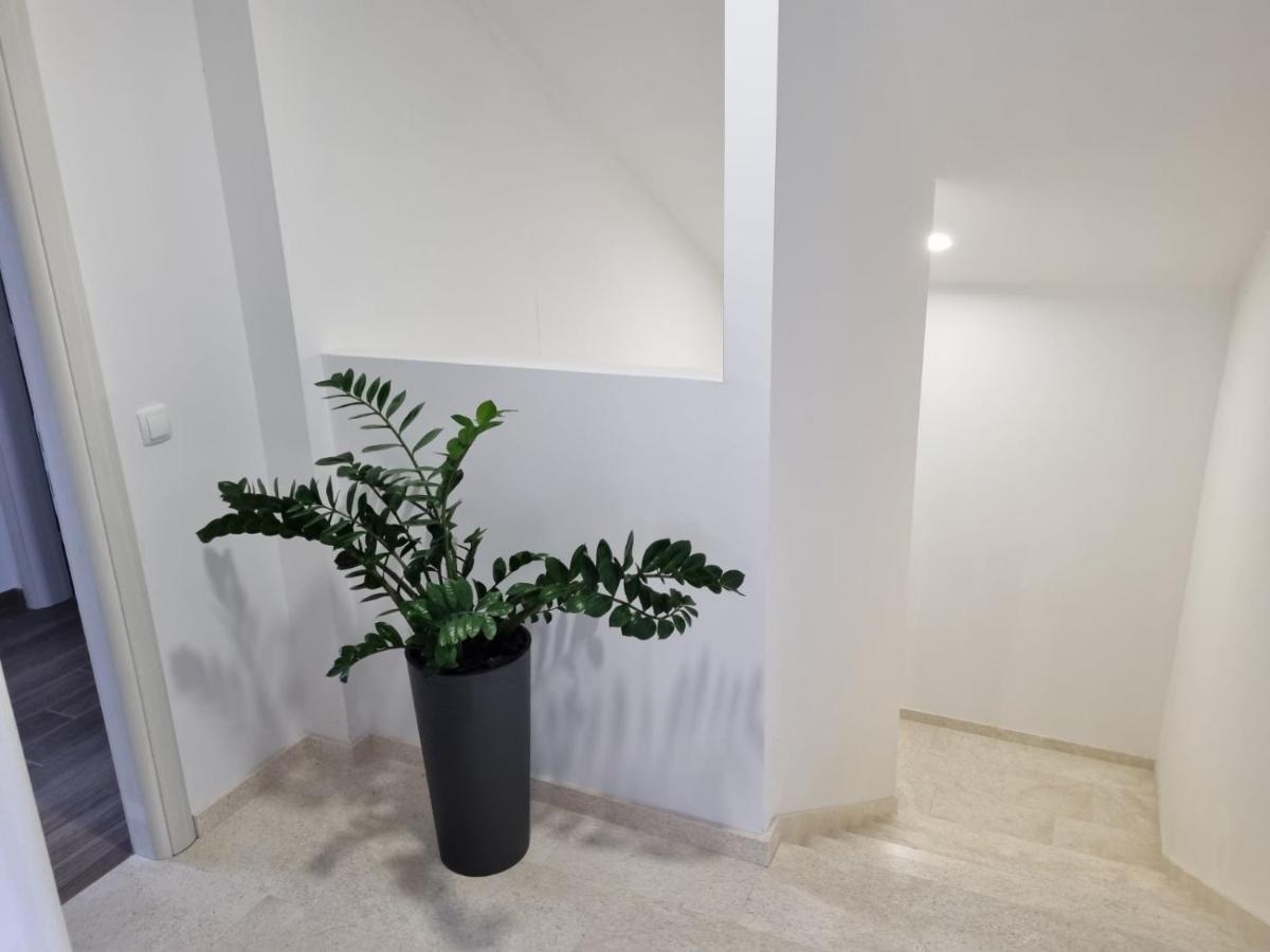Apartmani Tolj Makarska Exterior photo